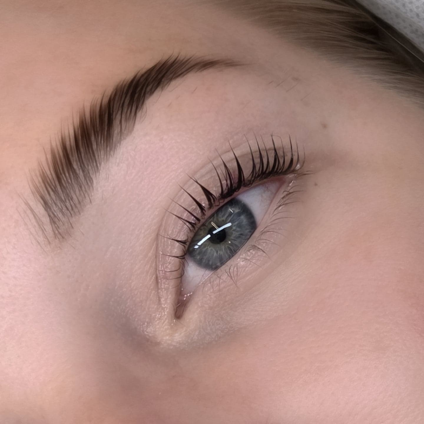 Close up of laminated and tinted brows with a lash lift